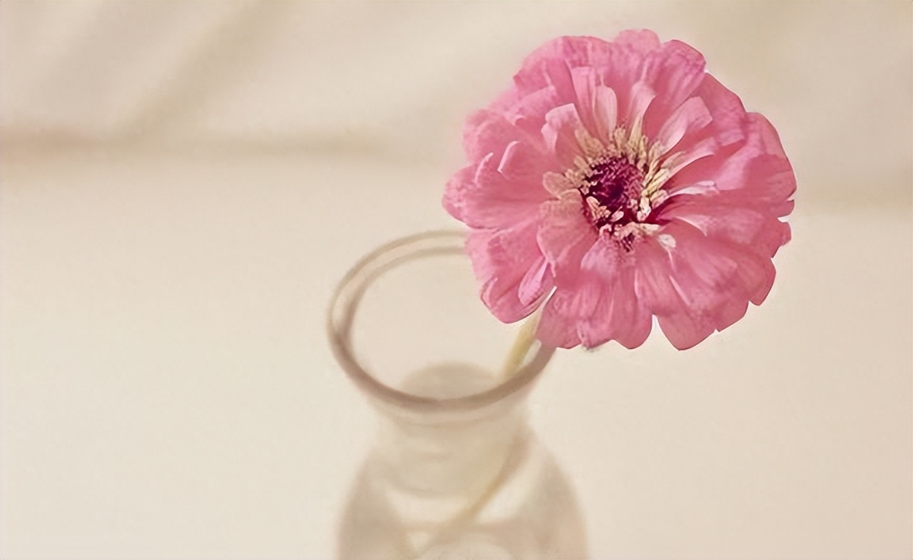 负债后，一定要学会“鳄鱼法则”，这样才能翻身，走出人生低谷