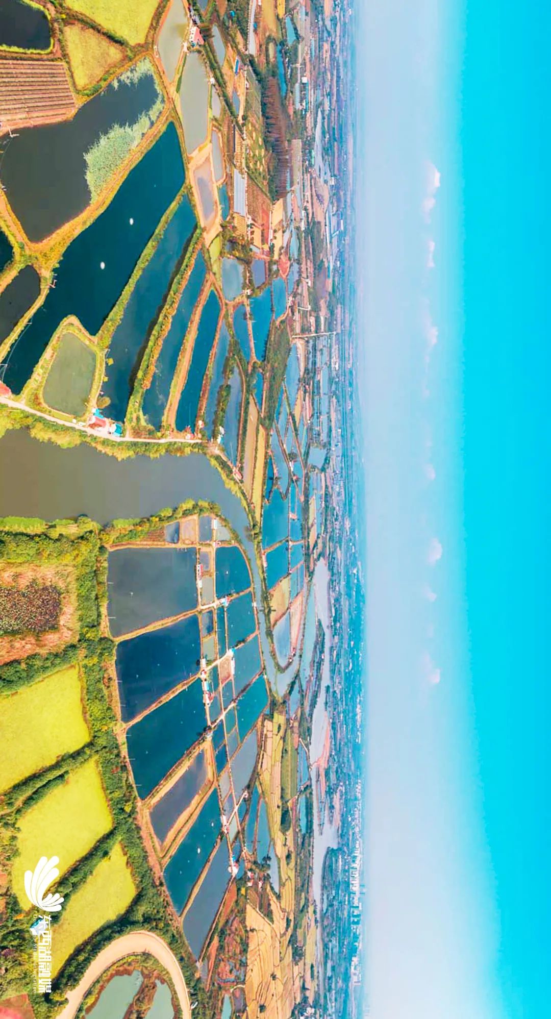 三分钟看懂武汉城市,30秒了解黄冈