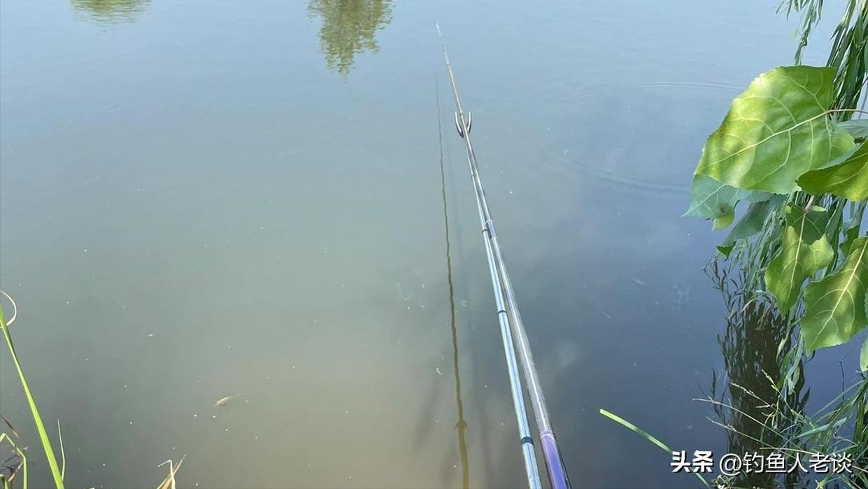 飞德鱼竿的特点,伽玛卡兹鱼竿有什么特点