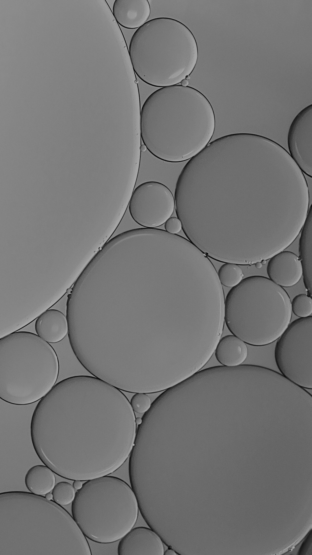 蝴蝶结亮晶晶壁纸,亮晶晶的壁纸