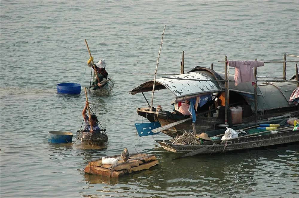 津门网郭冀华：水上古村落——大塘渔村