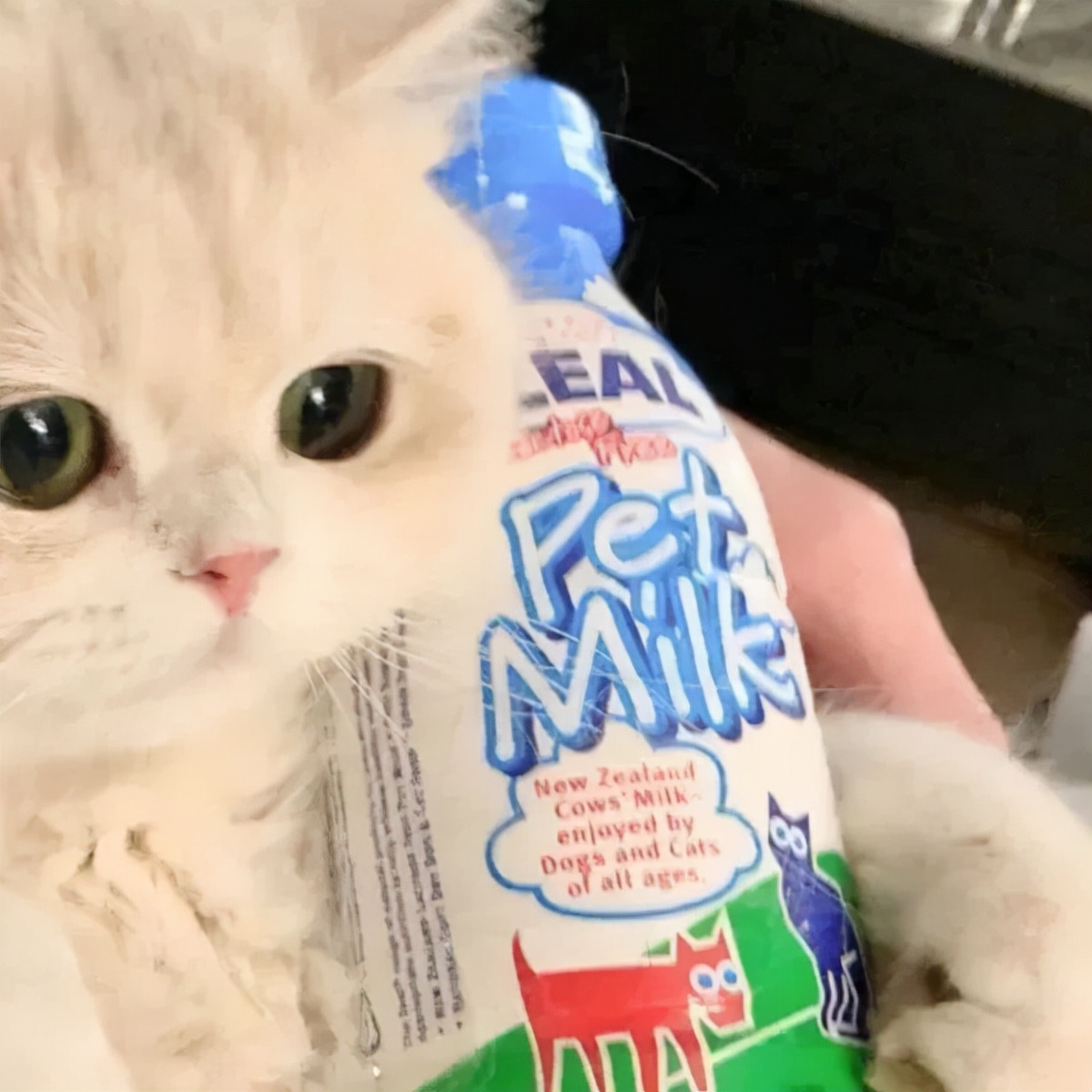 抖音男生动漫头像,抖音动漫情侣头像