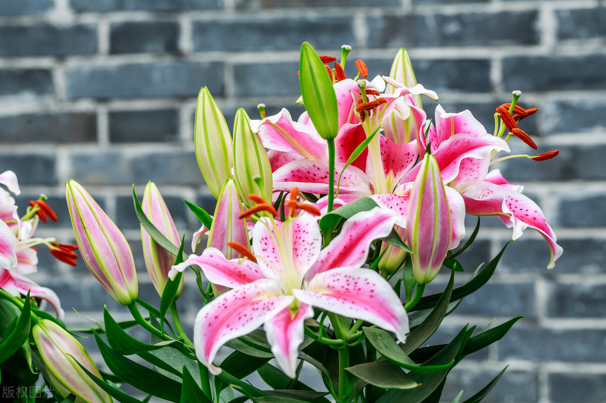 男人爱不爱一个女人，看她的“穿着”便知