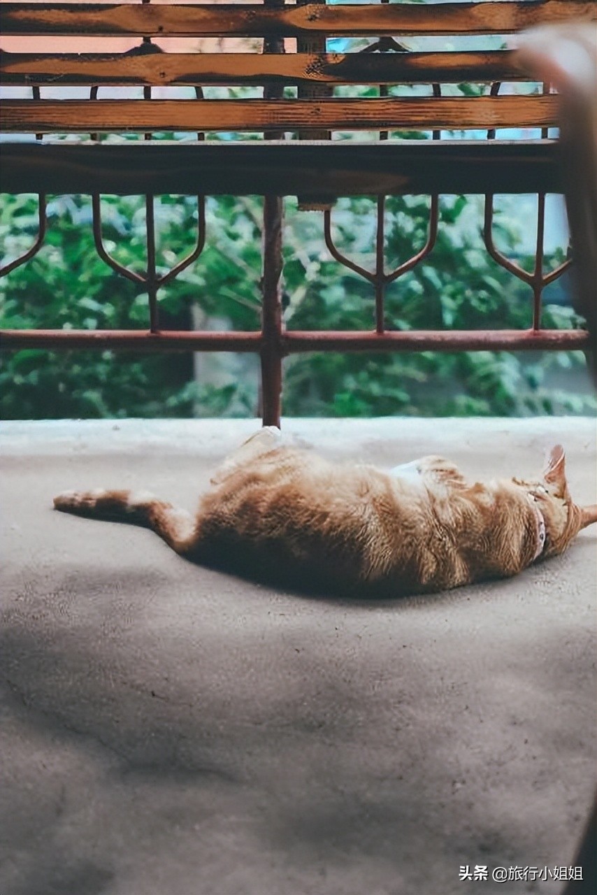 夏日海边微醺氛围感,滨城风光秀丽浪漫气息爆表