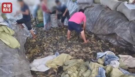 价值观的十大重要性,价值观决定能走多远