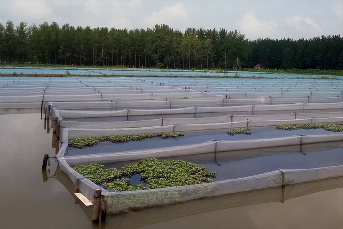 水蛭立体养殖箱制作材料,牡丹江水蛭立体养殖