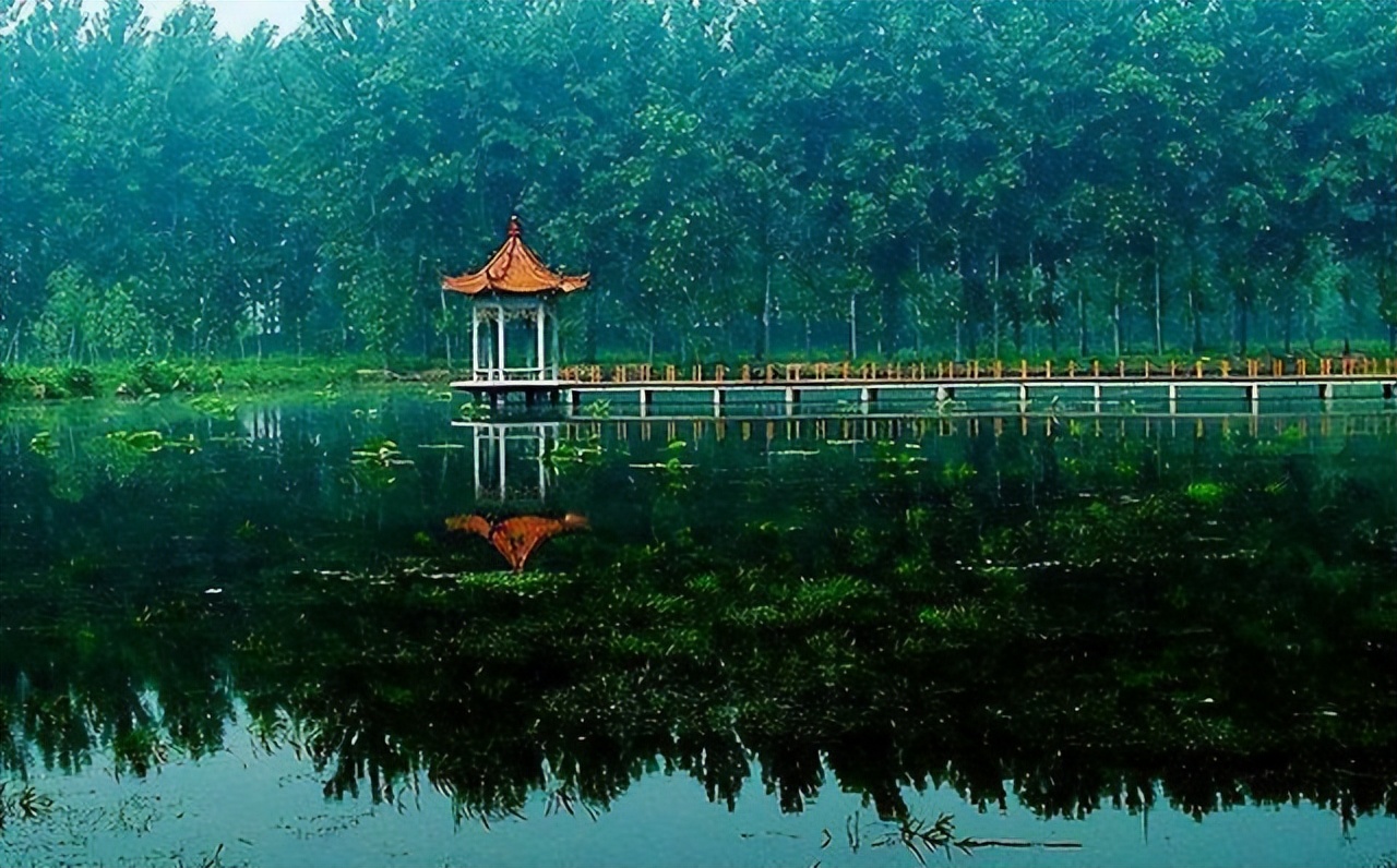 邹城和滕州gdp对比2021前三季度,邹城滕州2021年gdp和财政收入