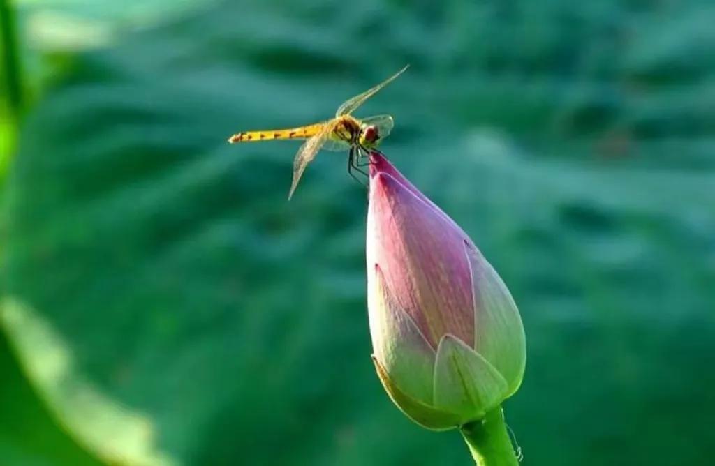 放下所有恩怨情仇,放下所有恩怨重新开始