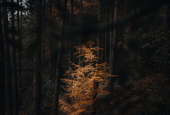 职场遇到领导冷落你怎么办,职场中害怕领导的心理原因