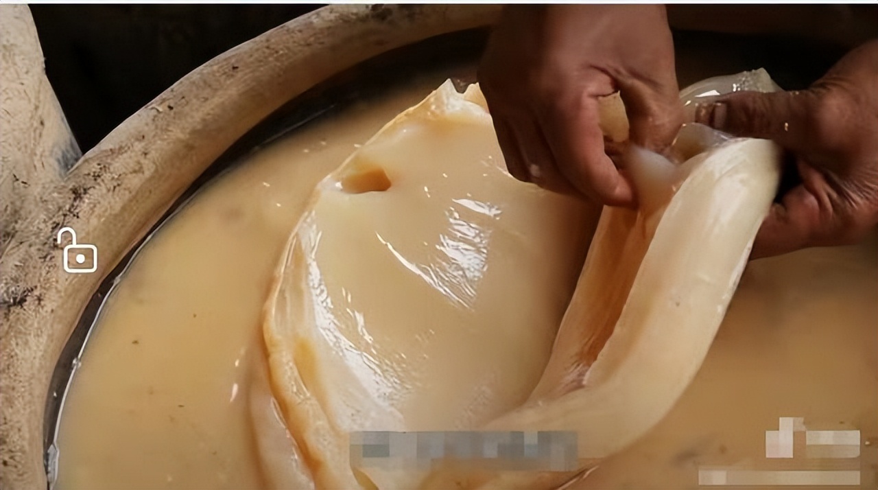 醋里面长出了一团肥肉,醋里长的肥肉