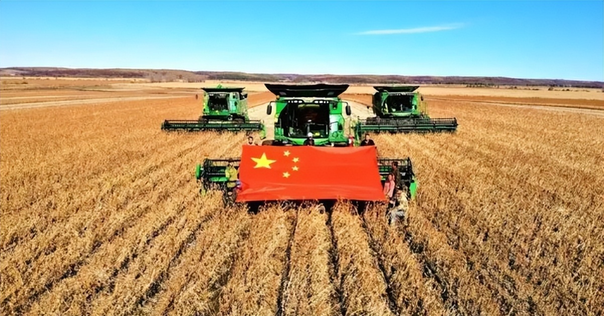 北大荒为什么退林还耕,北大荒当年咋样开垦的