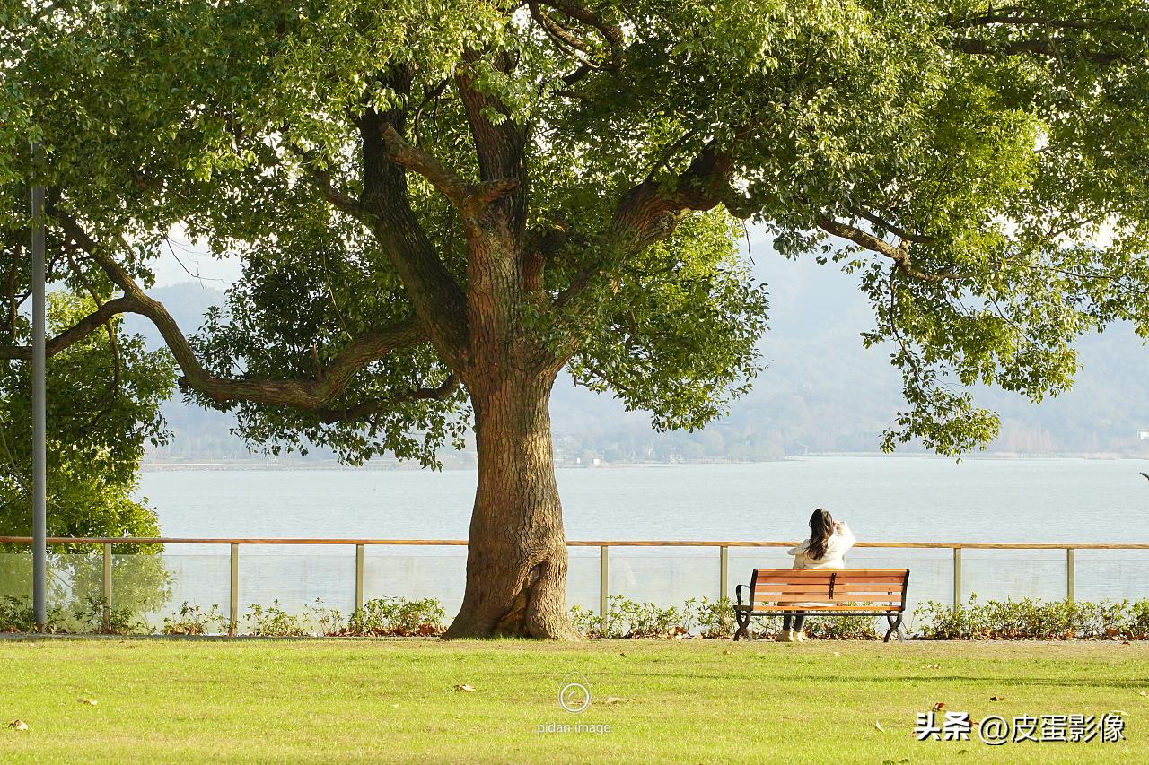 教女朋友摄影第一天,摄影初学者虚化照片