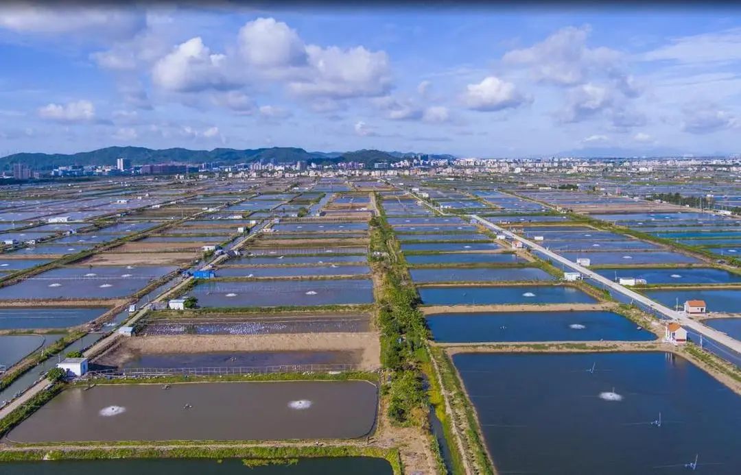 出台政策最高可达100万元专项补贴,官方下达125亿保费补贴