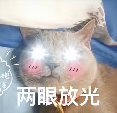 这些停产好物我们找到替代品了！,中国人不骗中国人