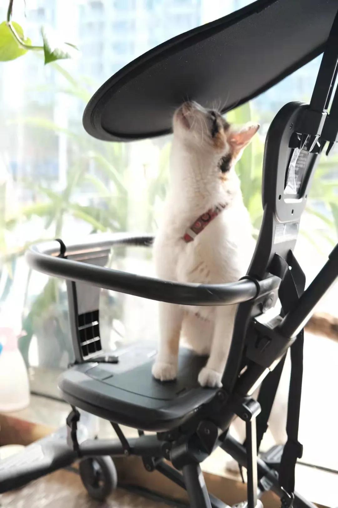 香港老字号探店,一个探店的老爷爷