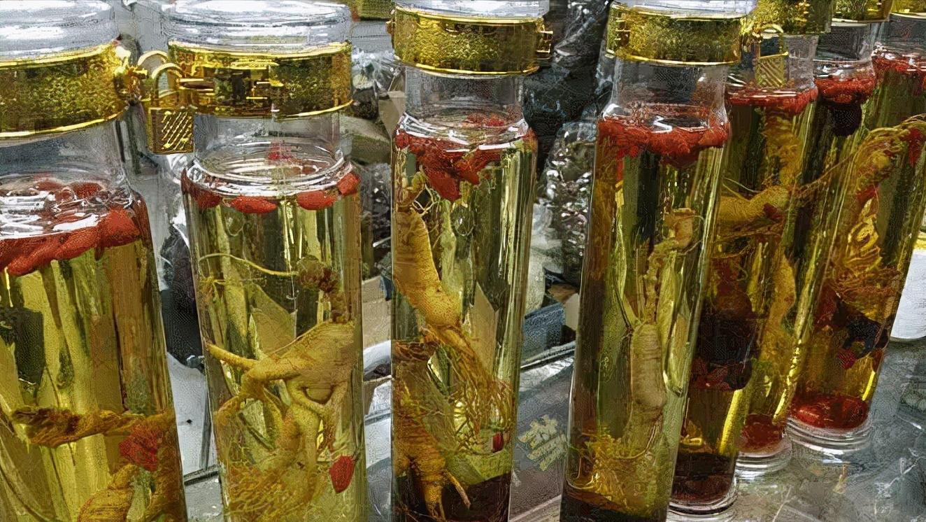 女子养蛇致富案例,广西女子投资几百万养毒蛇