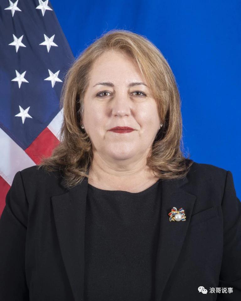 国务院情报研究所,国务院情报研究司