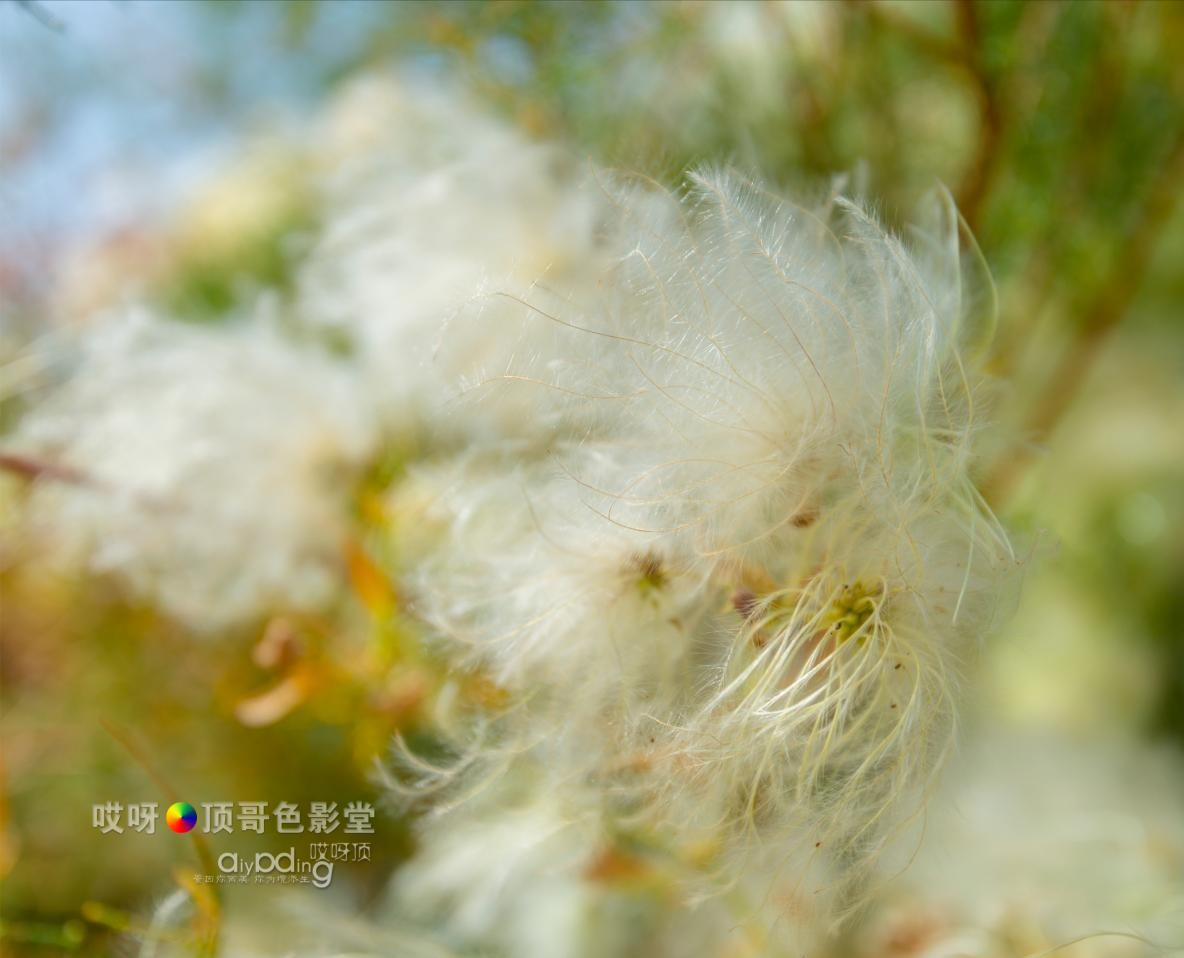 女司机带娃去新疆自驾游,带着女司机自驾游兰州