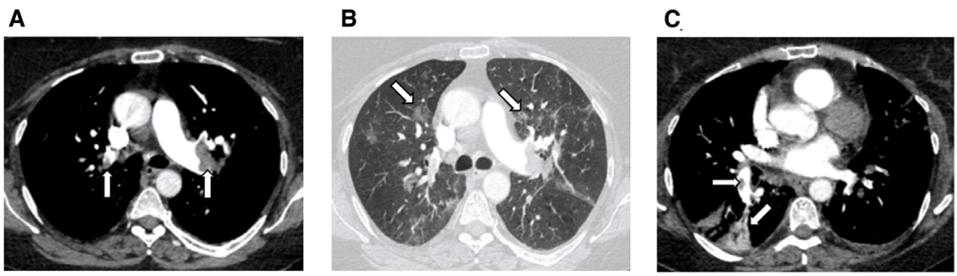 翟振国,翟振国医院