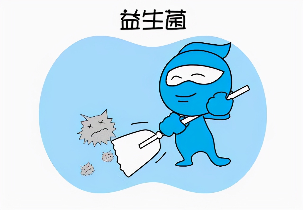 狗狗不进食吃什么药,狗狗不进食的4大原因和解决办法