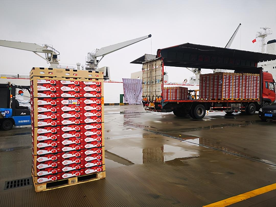 红心猕猴桃新西兰金果,新西兰金奇异果对比国产猕猴桃