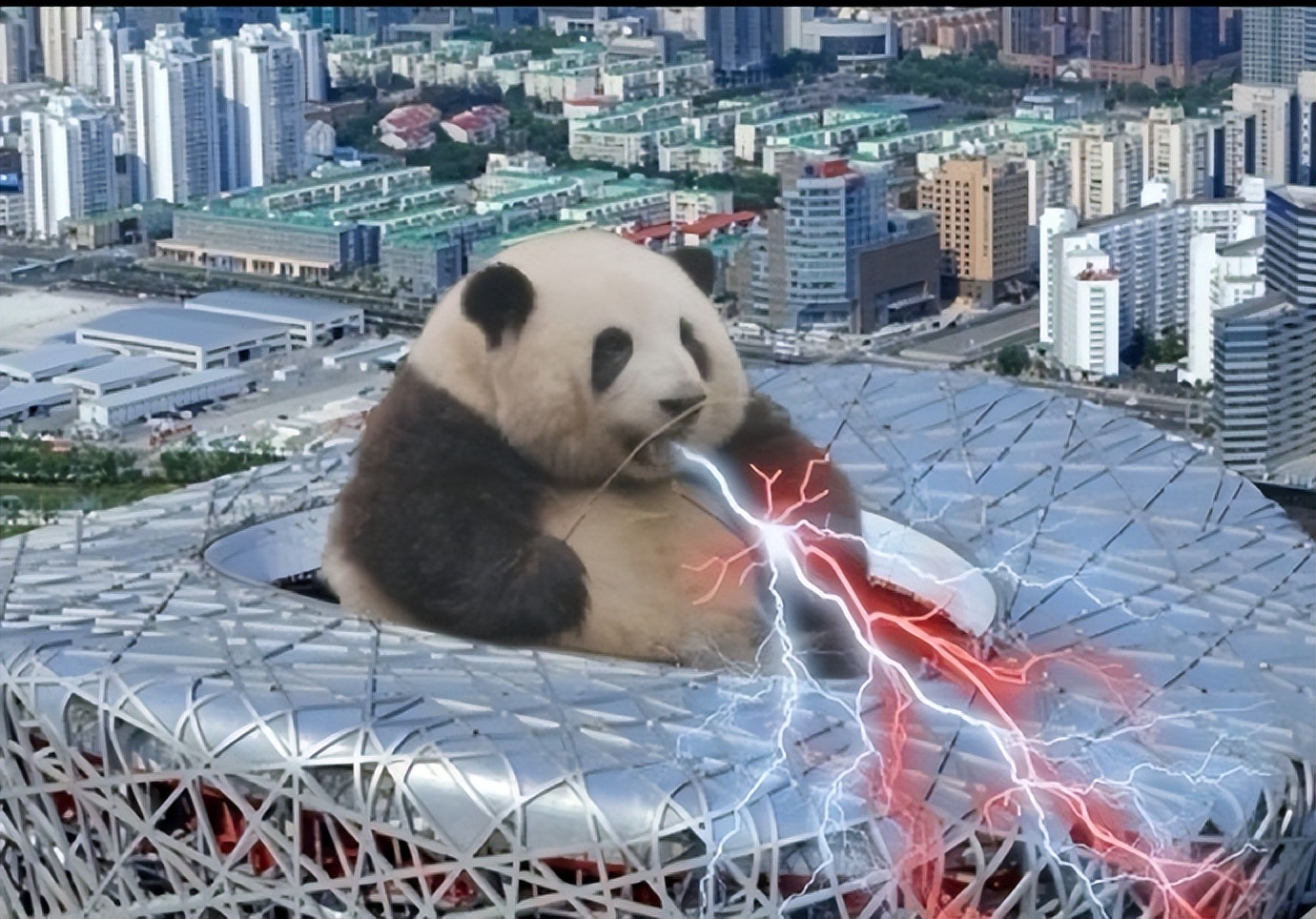 花花：接住谭爷爷给的小苹果，仿佛接住了整个世界。