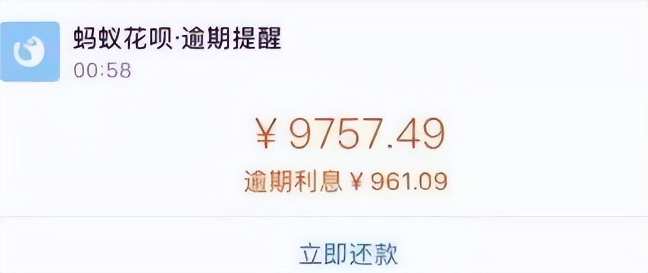 花呗提前还款好还是按时还款好,花呗提前还款还是按时还款好