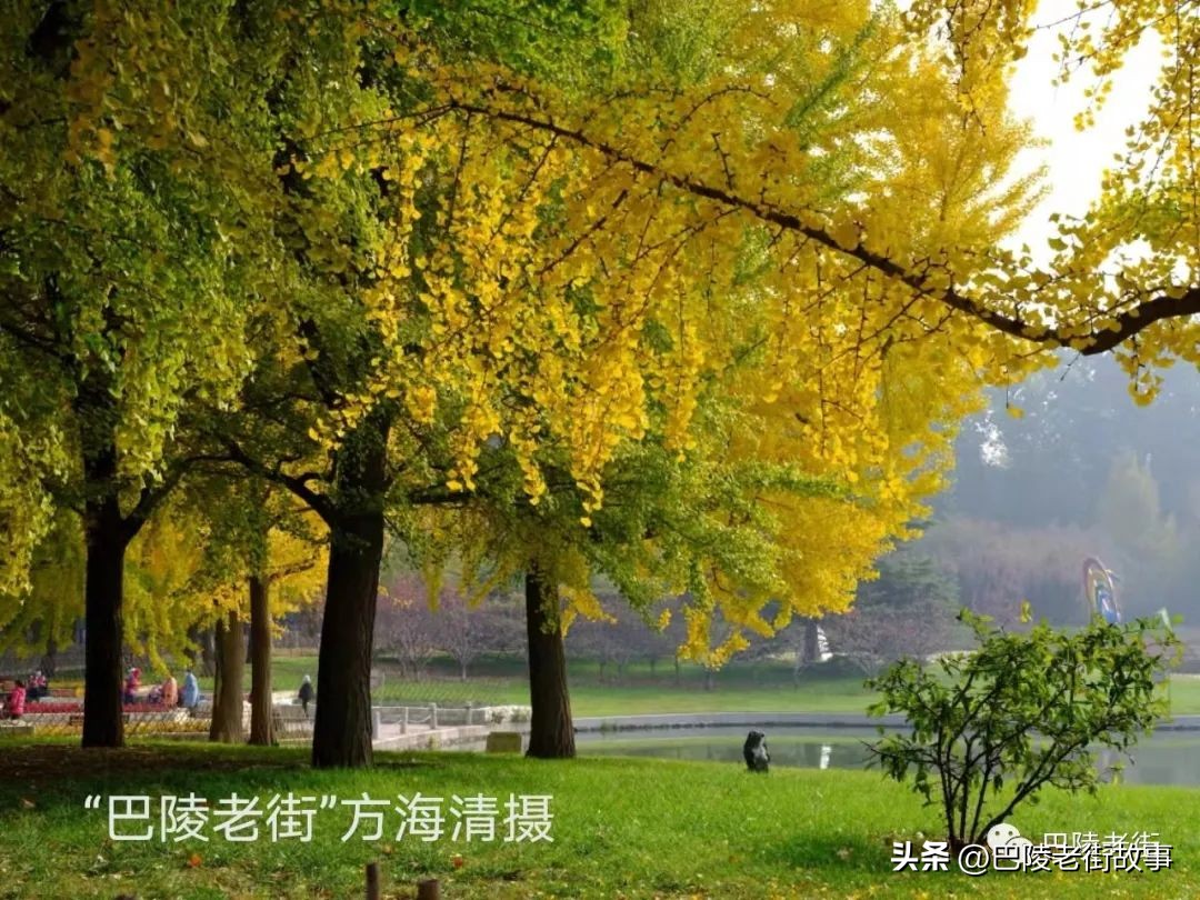 机床十年,机床百年沧桑