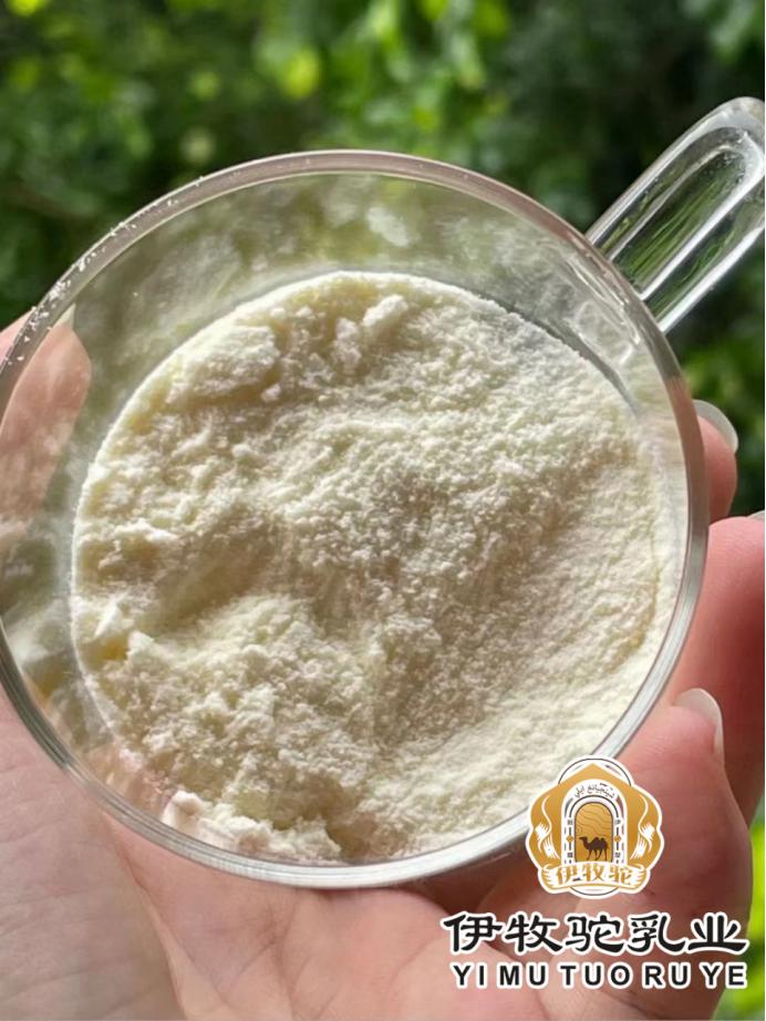 伊牧驼——新鲜驼乳的搬运工