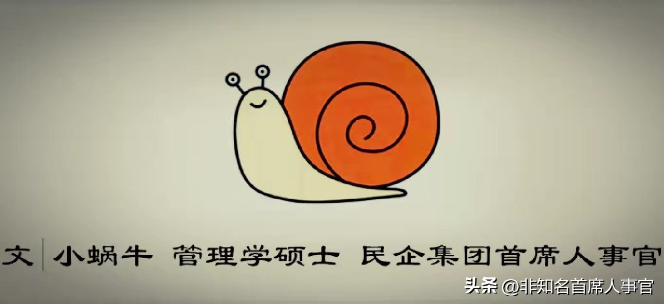 管理咨询公司都是骗子公司吗,管理咨询公司靠谱吗