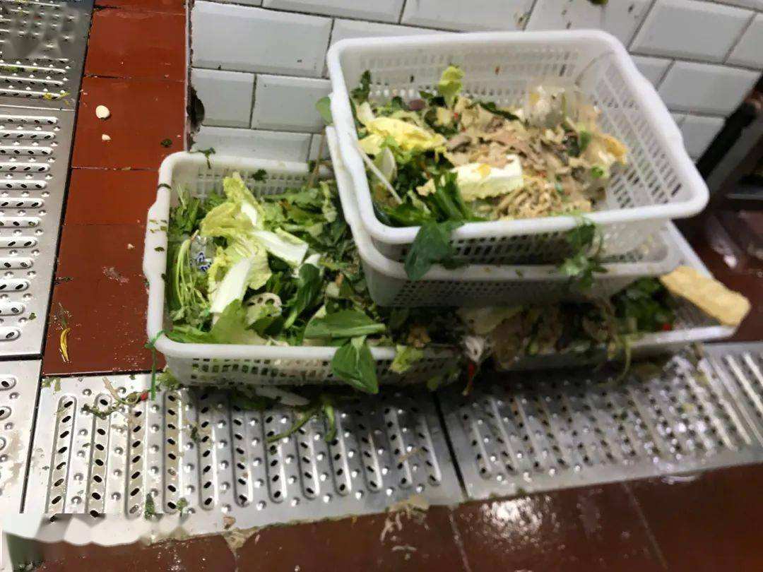 根据蟑螂的生存习惯我们应该如何预防蟑螂