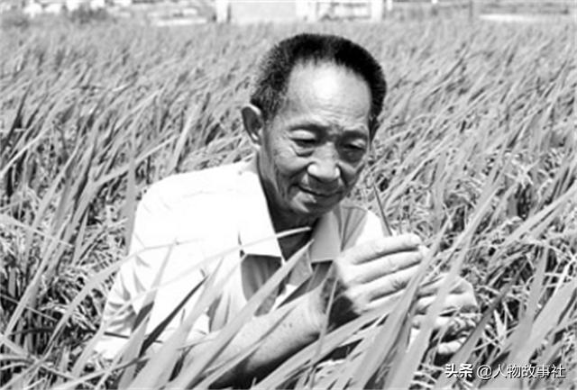 袁隆平逝世的感人留言,得知袁隆平逝世崩溃大哭的老人