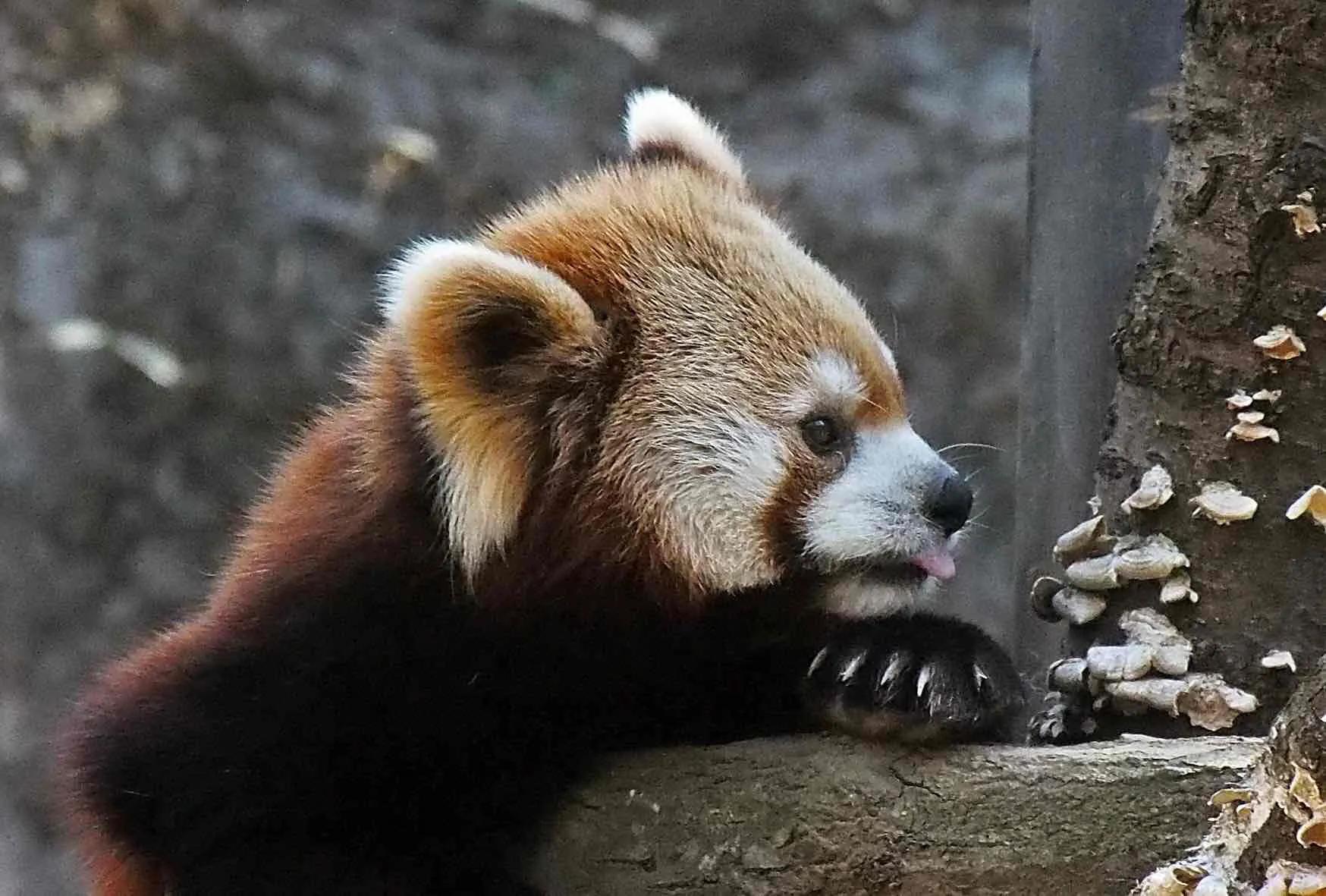 上海遛娃好去处周末亲子时光,上海有哪些值得遛娃的地方