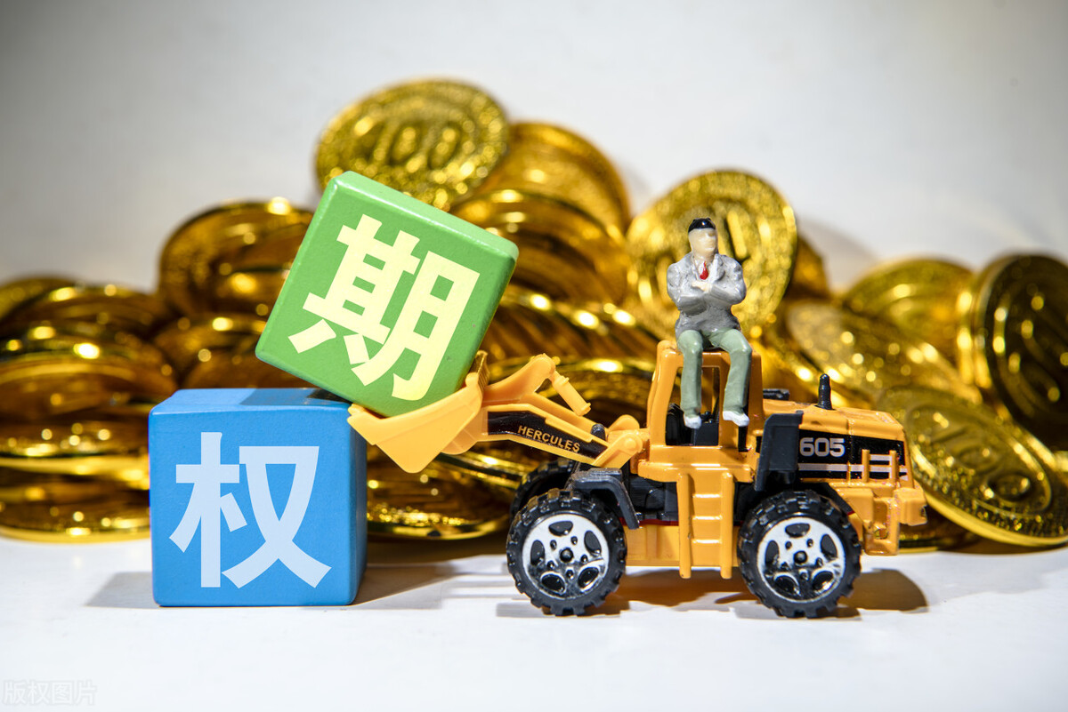 股票期权股权激励处理,股票期权激励和股权激励