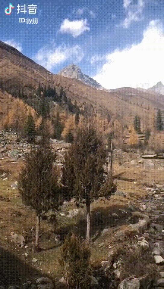 放弃年薪百万的工作去当农民,30岁了我放弃了国企的工作