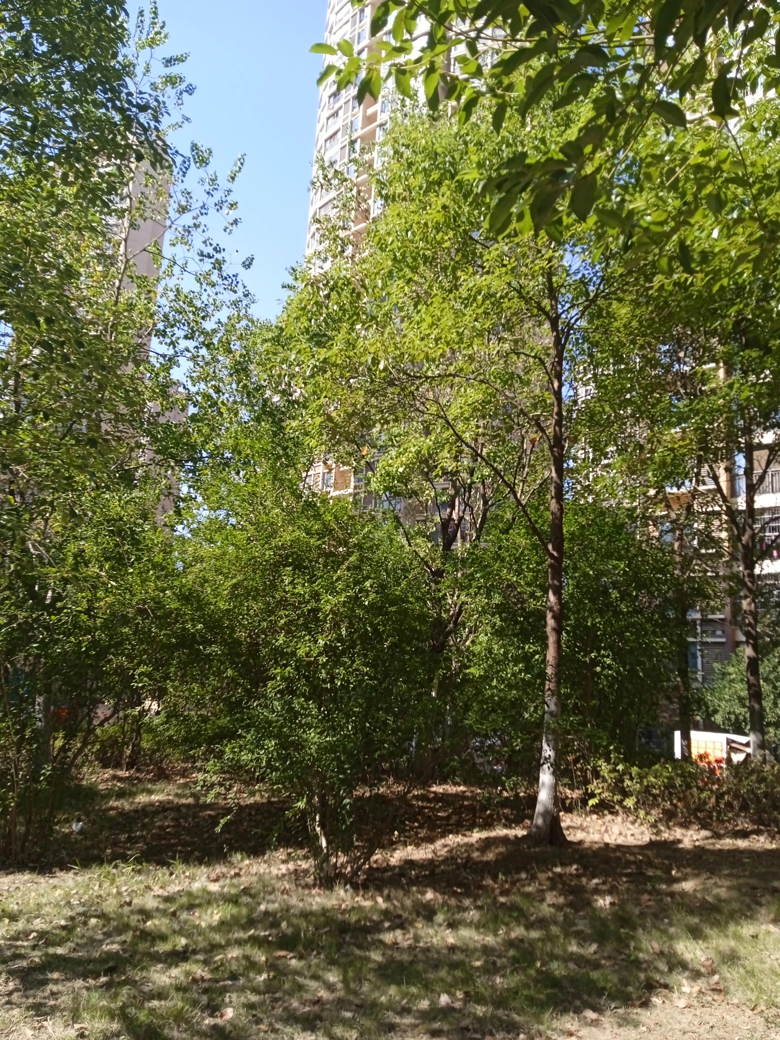 赚钱最终为了什么,赚钱的最终目的为了买房