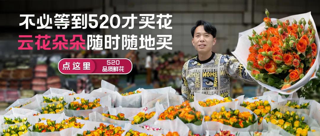 情人节鲜花进货渠道,情人节鲜花网上订购