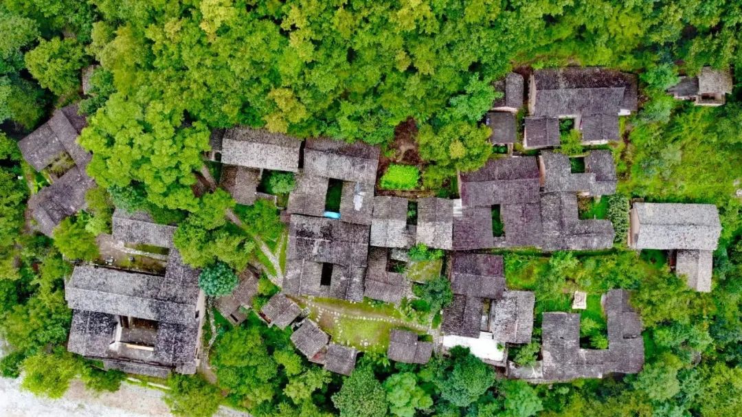 丝路印象之旅,美丽陇南陇蜀之城