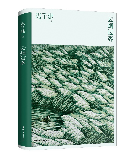 迟子建小说的爱的主题,迟子建的散文爱