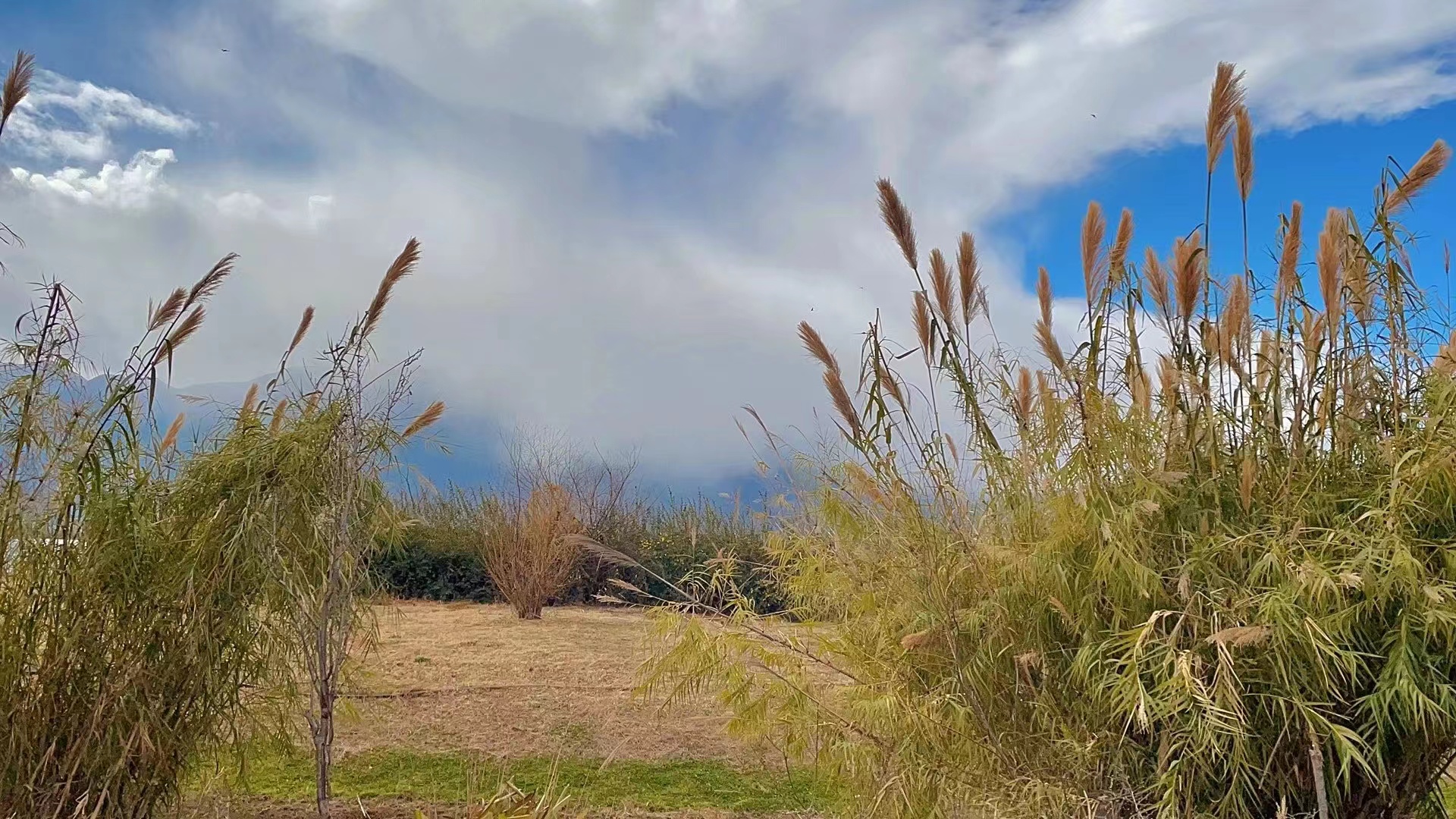 有个啃老的哥嫂,啃老的哥嫂