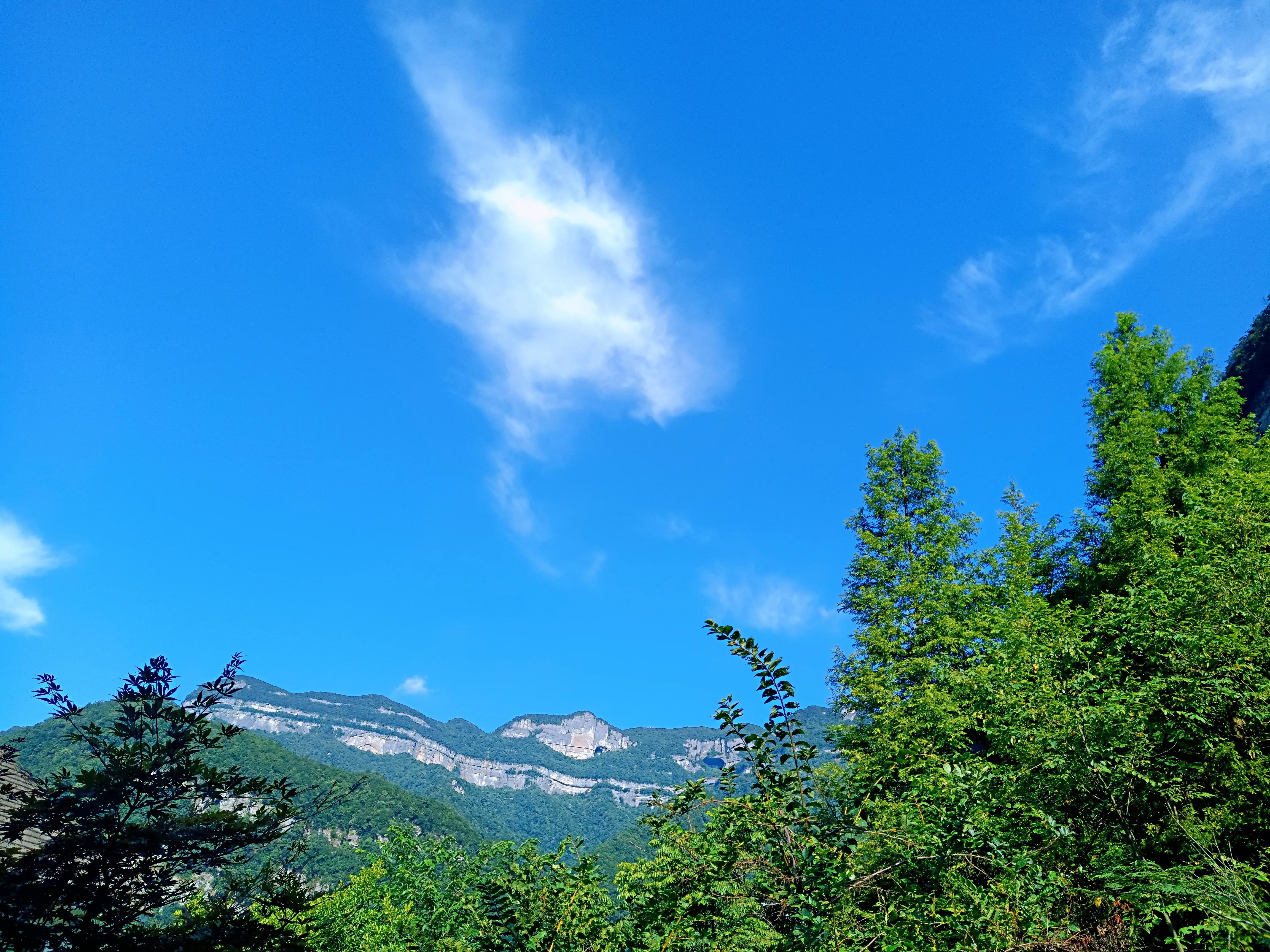 金佛山8月游详细攻略古佛洞,金佛山古佛洞地心之旅