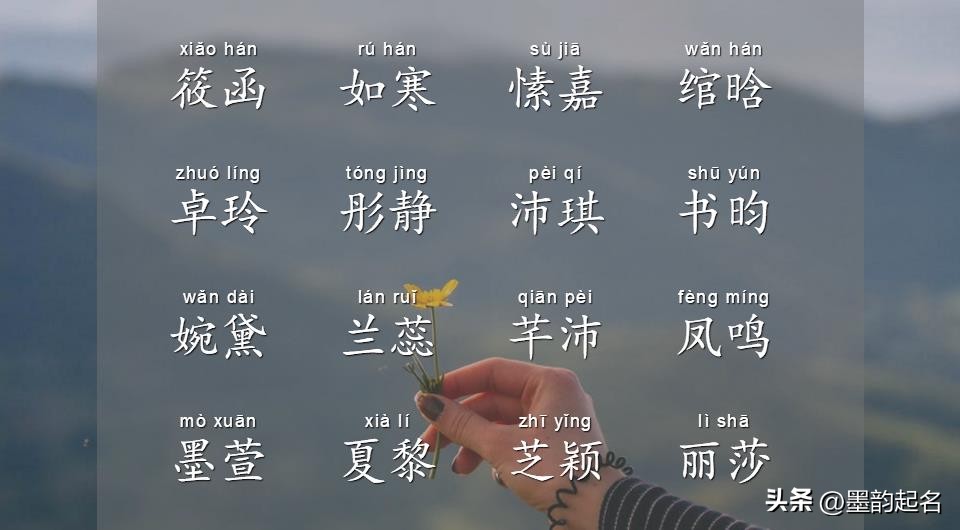 不再为起名而烦恼,不再为名字犯愁