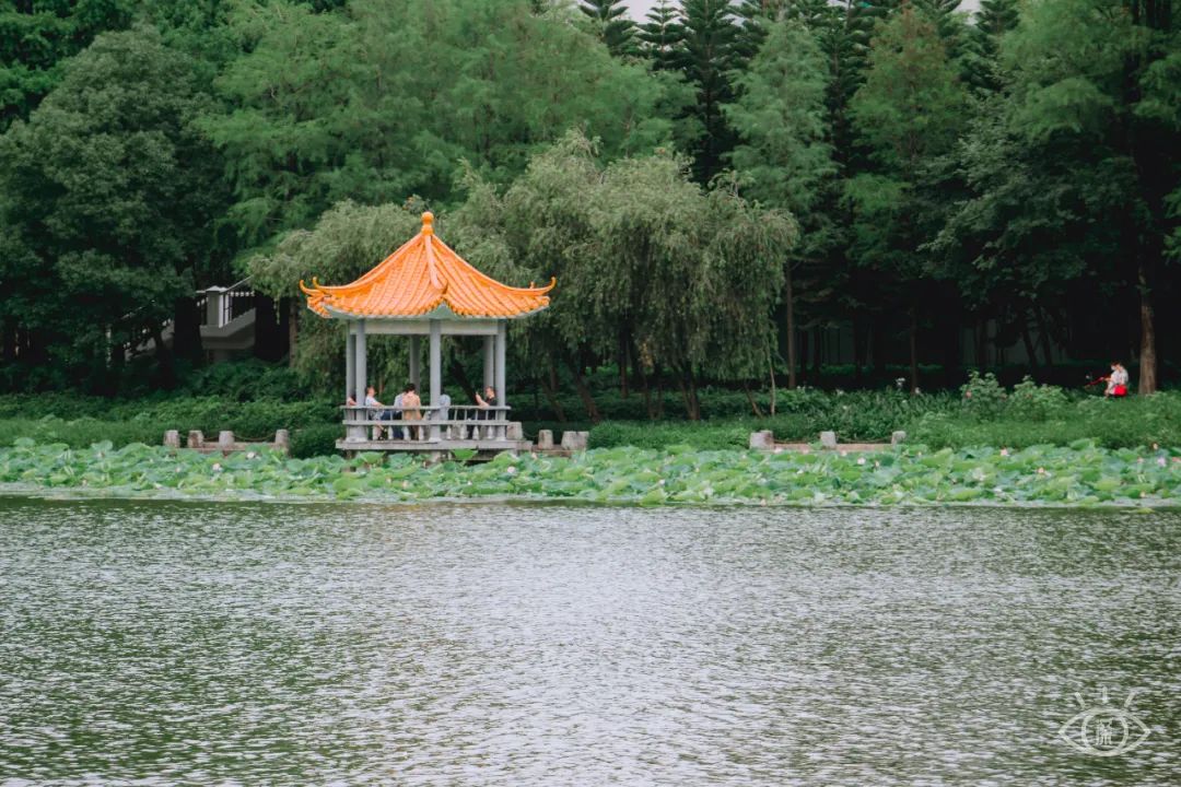 周末来深圳这10个地方免费玩,深圳周末去哪玩免费的地方