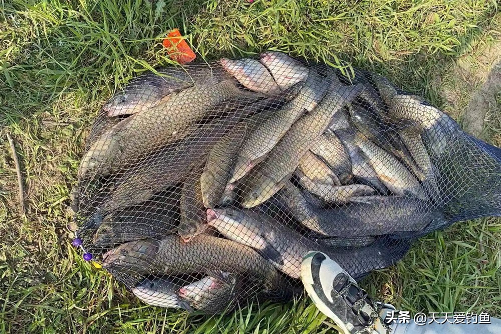 钓什么鱼选择什么样钓法,钓大鱼用什么钓法好