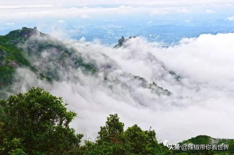 惠州市海岸线,惠州的海岸线