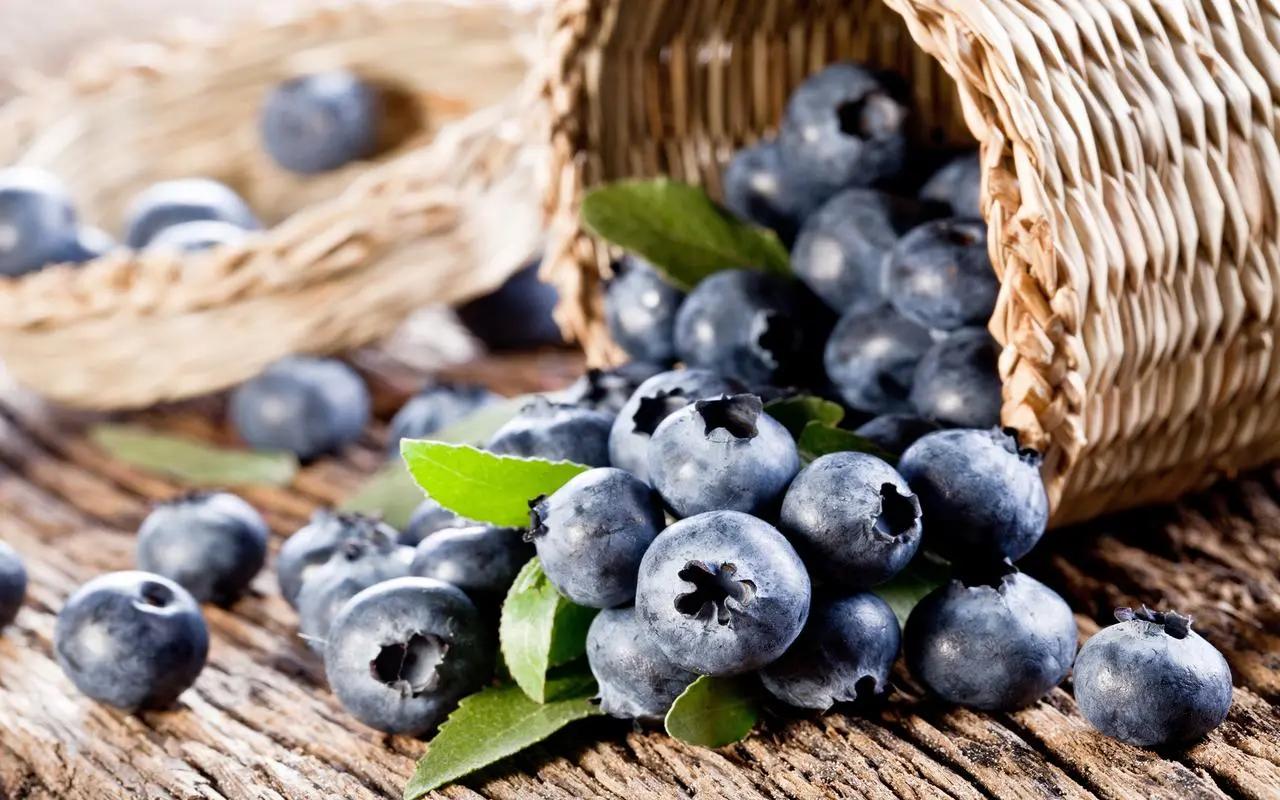 缓解视力吃蓝莓叶黄素有效果吗,每天吃蓝莓身体有什么变化