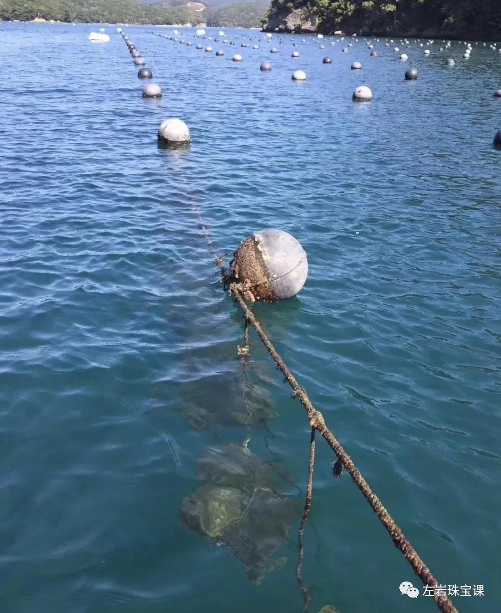 南洋金珠最经典的款式,南洋金珠的功效与作用