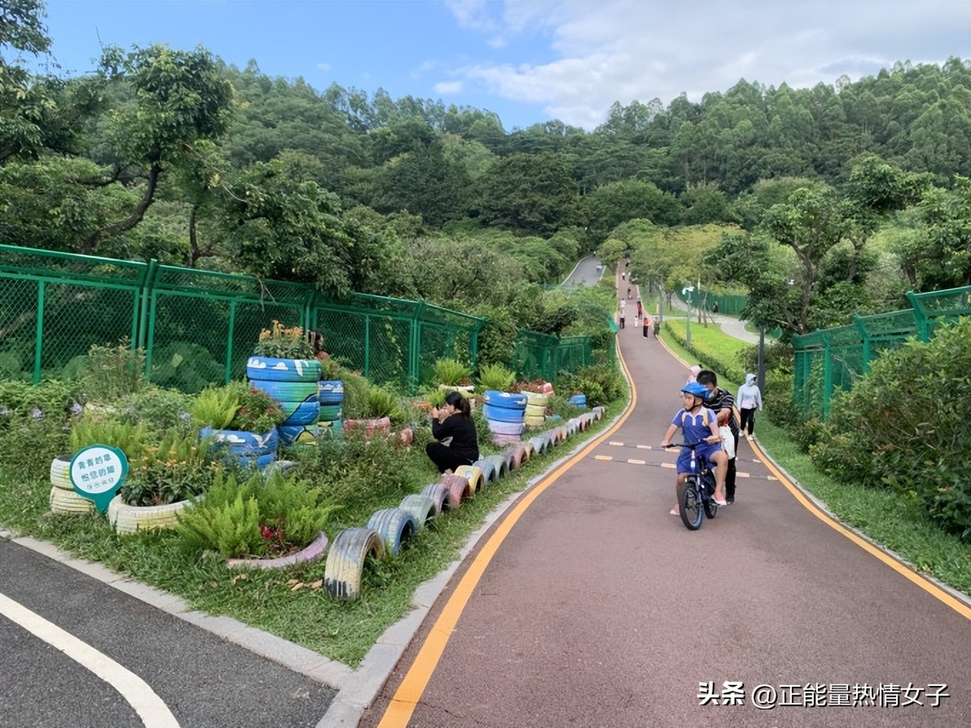 深圳市罗湖淘金山绿道登山口,深圳淘金山绿道海拔高