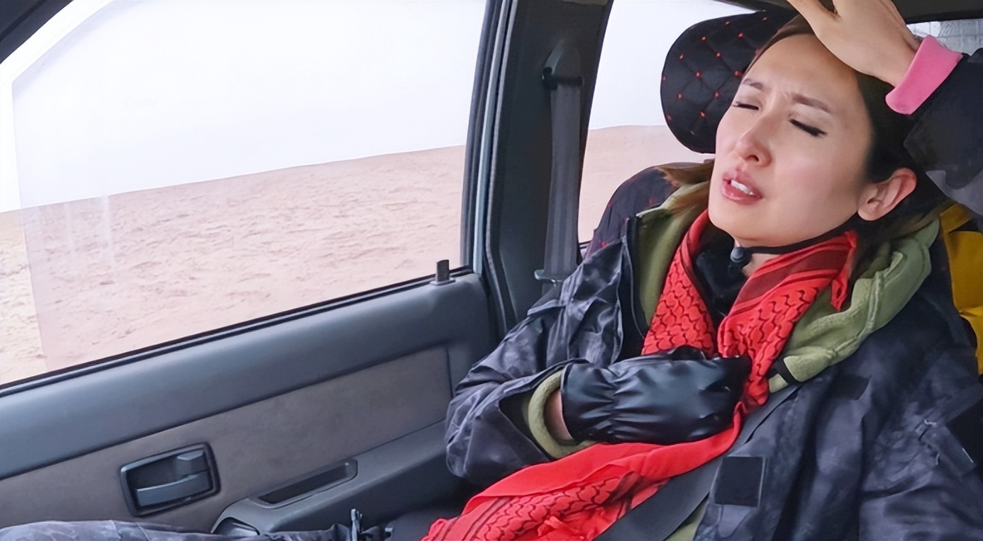 陈贝儿再获tvb最佳女主持,陈贝儿央视主持