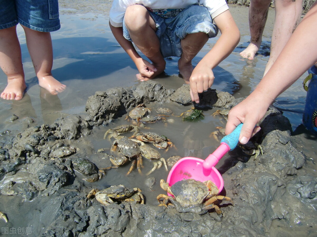 有一种怪病，伤口出现在脚上，心脏却感染了，为啥“肾也坏了”？